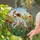 English Setter Dog Stained Glass Art - Poppies Marigolds Wildflowers Butterfly Dog Lover Gift Stained Glass Suncatcher - 1