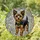 Yorkshire Terrier Dog Stained Glass Mosaic - Tiffany Style Jewel Tones Gift for Dog Owners Stained Glass Suncatcher - 2