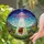 Highland Cow UFO Abduction Flying Saucer Stained Glass Starry Night Wildflower Hills Stained Glass Suncatcher - 1