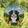 Detailed Bernese Mountain Dog Stained Glass Tiffany Art - Mosaic Hills Sky Dog Lover Gift Stained Glass Suncatcher - 2