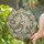 Grey Cockatiel Timmy Colorful Butterflies Stained Glass Floral Wreath Jewel Tone Mosaic Stained Glass Suncatcher - 1