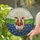Texas Longhorn Steer Bluebonnet Flowers Stained Glass Mosaic Art with Sunburst Sky Stained Glass Suncatcher - 1