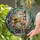 Graceful Greyhound Dog Stained Glass Artwork - Tiffany Style Jewel Tones Pet Lover Stained Glass Suncatcher - 1