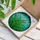 Tiffany Style Stained Glass Fern Fronds - Emerald Green Aqua Blue Organic Mosaic Stained Glass Suncatcher - 3