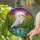 Tiffany Style White Egret Stained Glass, Water Lily Sunset Moon Marsh Art Gift Stained Glass Suncatcher - 1