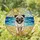 Cheerful Pug Dog Running Beach Ocean Waves - Glowing Tiffany Stained Glass Jewel Art Stained Glass Suncatcher - 2