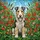 Wire-Haired Fox Terrier Stained Glass Wildflowers Meadow Art - Tiffany Style Dog Lover Stained Glass Suncatcher - 5