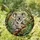Intricate Koala Eucalyptus Stained Glass - Australian Bushland Art with Jewel Tones Stained Glass Suncatcher - 2