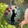 Black Cat Green Eyes Butterflies Poppies Tiffany Stained Glass Meadow Scene Decor Stained Glass Suncatcher - 1