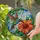 Hummingbird Hibiscus Flower Tiffany Stained Glass Art - Intricate Jewel Tone Mosaic Gleam Stained Glass Suncatcher - 1