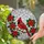 Red Cardinal Poinsettia Stained Glass Tiffany Style Luminous Holiday Home Decor Gift Stained Glass Suncatcher - 1