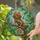 Bearded Dragon Stained Glass Art - Tiffany Style Intricate Glowing Fragmented Mosaic Stained Glass Suncatcher - 1