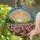 Stained Glass Sun Ray Cosmos Flowers Hillside Landscape - Tiffany Style Art Decor Stained Glass Suncatcher - 1