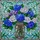 Colorful Hydrangea Bouquet Mason Jar Stained Glass - Tiffany Style Floral Mosaic Stained Glass Suncatcher - 5