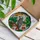 African Grey Parrot Stained Glass Art - Intricate Tiffany Style Mosaic Jewel Tones Stained Glass Suncatcher - 3