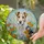 Wire Fox Terrier Dog Stained Glass Wildflowers - Colorful Intricate Sky Mosaic Decor Gift Stained Glass Suncatcher - 1