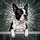 Boston Terrier Dog Stained Glass Tiffany Style Artwork - Geometric Mosaic Home Decor Stained Glass Suncatcher - 5