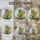 Detailed Stained Glass Raccoon Sunflowers Mosaic Art - Glowing Tiffany Style Wildlife Nature Decor Stained Glass Suncatcher - 4