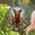 Tiffany Stained Glass Chocolate Lab Wildflowers Meadow Mosaic - Happy Dog Lover Gift Stained Glass Suncatcher - 1