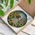 Brittany Spaniel Stained Glass Art - Sunflowers Meadow Flowers Tiffany Style Home Decor Stained Glass Suncatcher - 3