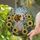 Brittany Spaniel Stained Glass Art - Sunflowers Meadow Flowers Tiffany Style Home Decor Stained Glass Suncatcher - 1