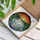 White Swan Cygnet Stained Glass Art - Tiffany Jewel Tones Sunset Lake Pond Scene Stained Glass Suncatcher - 3