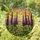 Purple Delphinium Flowers Sunset Mountain Scene - Intricate Tiffany Stained Glass Look Stained Glass Suncatcher - 2