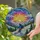 Skier Carving Snow Mountain Tiffany Style Stained Glass - Radiant Sunset Sunrise Gift Stained Glass Suncatcher - 1