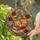 Sleeping Fox Antique Books Roses - Glowing Tiffany Style Glass Mosaic Stained Glass Suncatcher - 1