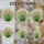 Ripe Wheat Stalks Golden Grain Field Mosaic - Translucent Tiffany Glass Harvest Decor Stained Glass Suncatcher - 4