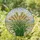 Ripe Wheat Stalks Golden Grain Field Mosaic - Translucent Tiffany Glass Harvest Decor Stained Glass Suncatcher - 2