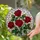 Red Roses Rose Leaves Tiffany Glass Mosaic - Ruby Emerald Jewel Tone Stained Glass Art Stained Glass Suncatcher - 1
