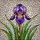 Purple Iris Stained Glass Flower - Colorful Intricate Mosaic Botanical Art Design Stained Glass Suncatcher - 5