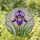 Purple Iris Stained Glass Flower - Colorful Intricate Mosaic Botanical Art Design Stained Glass Suncatcher - 2