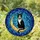 Black White Tuxedo Cat Golden Crescent Moon Celestial Night Sky Tiffany Jewel Tone Glass Stained Glass Suncatcher - 2