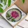 Fully Bloomed Pink Rose Stained Glass Mosaic Art - Tiffany Style Translucent Petals Stained Glass Suncatcher - 3