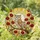 Mottled Brown Owls Red Poppies Radiant Sun Mosaic Tiffany Stained Glass Home Decor Stained Glass Suncatcher - 2