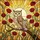 Mottled Brown Owls Red Poppies Radiant Sun Mosaic Tiffany Stained Glass Home Decor Stained Glass Suncatcher - 5