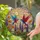 Tiffany Stained Glass Birds Wildflowers Meadow Flowers Sunrise Sunset Art Decor Stained Glass Suncatcher - 1