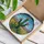 Saguaro Cactus Desert Plants Stained Glass Tiffany Art - Green Coral Yellow Sky Blue Landscape Stained Glass Suncatcher - 3
