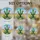 Saguaro Cactus Desert Plants Stained Glass Tiffany Art - Green Coral Yellow Sky Blue Landscape Stained Glass Suncatcher - 4