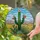 Saguaro Cactus Desert Plants Stained Glass Tiffany Art - Green Coral Yellow Sky Blue Landscape Stained Glass Suncatcher - 1