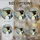 King Penguin Stained Glass Mosaic Art - Intricate Tiffany Inspired Edge Design Stained Glass Suncatcher - 4