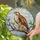 Majestic Hawk Stained Glass Tree Branch Cloud Sky Tiffany Jewel Tone Nature Art Stained Glass Suncatcher - 1