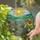 Radiant Sun Wildflower Meadow Stone Path Tiffany Style Translucent Window Art Stained Glass Suncatcher - 1