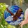 Bald Eagle Mid-Flight Stained Glass Tiffany Style Sky Mosaic - Radiant Sun Clouds Stained Glass Suncatcher - 1