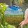 Golden Wheat Field Stained Glass - Green Hills Sky Clouds Tiffany Style Art Home Decor Stained Glass Suncatcher - 1