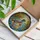 Highly Detailed Tiffany Glass Mallard Hen Duckling - Water Lily Mosaic Nature Lover Gift Stained Glass Suncatcher - 3