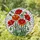 Vivid Stained Glass Poppy Flowers Tiffany Style - Detailed Floral Mosaic Art Home Decor Stained Glass Suncatcher - 2