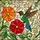 Ruby-throated Hummingbird Red Flower Orange Floral Green Leaves Mosaic Tiffany Style Art Stained Glass Suncatcher - 5